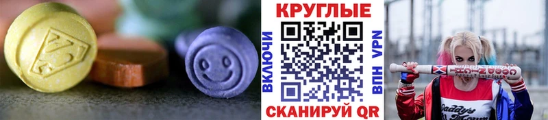 Ecstasy Philipp Plein  Купить где  Октябрьск 